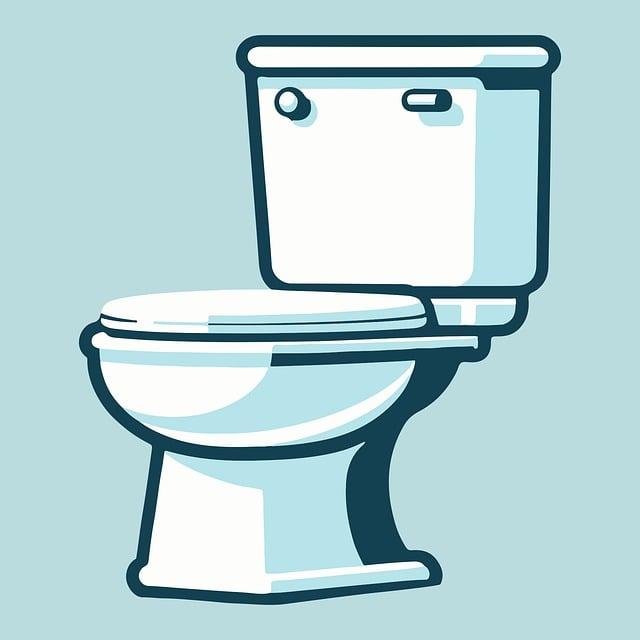 Přenosné wc: Komfort a hygiena kdekoliv