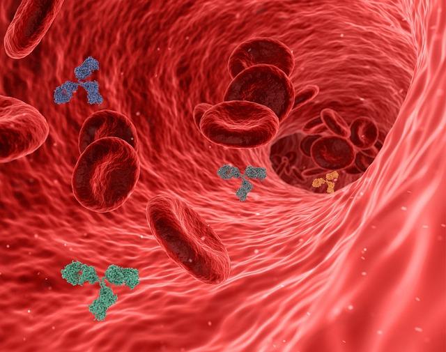Červené krvinky: Jak je podpořit s babskými radami?