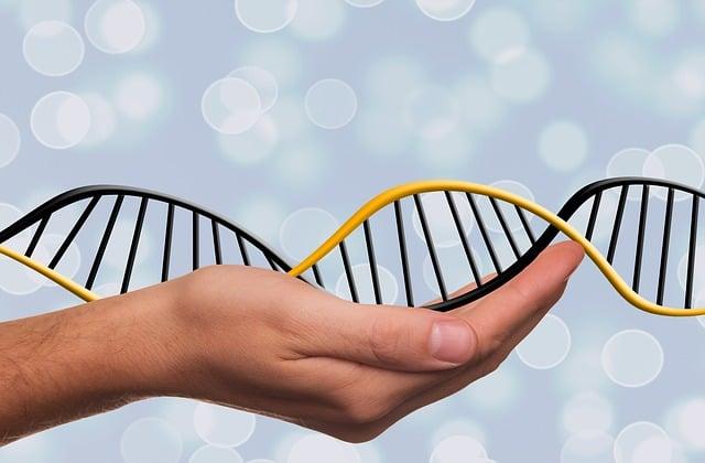 Jakou roli hraje genetika ⁣při vzniku metličkových ​žilek?