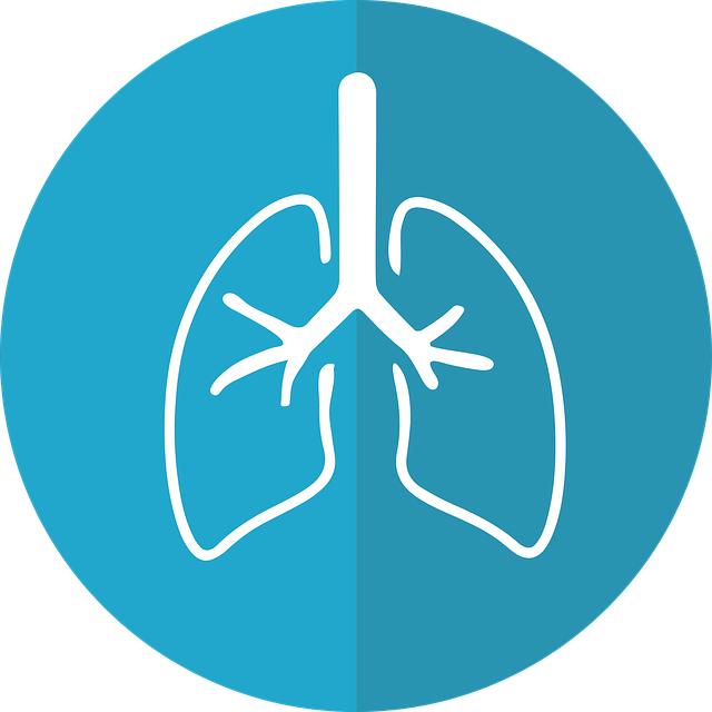 Průdušky: Babské Rady Pro Čisté Dýchání