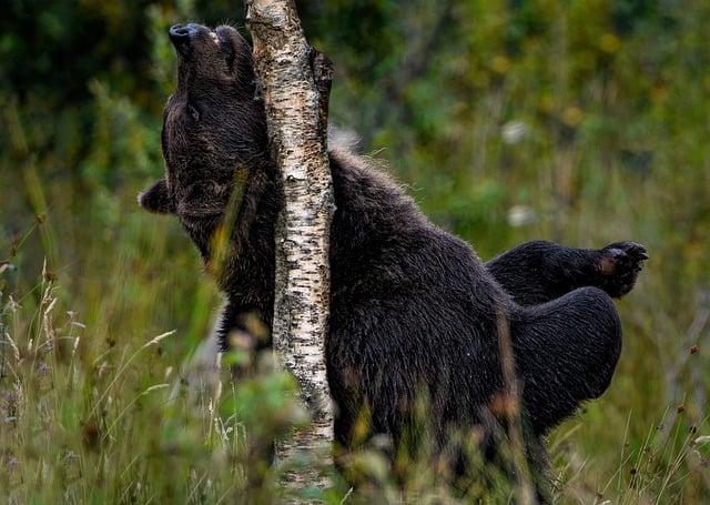 Svědění a pálení pochvy: Jak na ⁢ně s‌ babskými radami