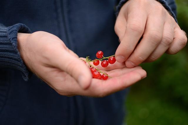 Důležitá doporučení pro bezpečné vyvolání menstruace