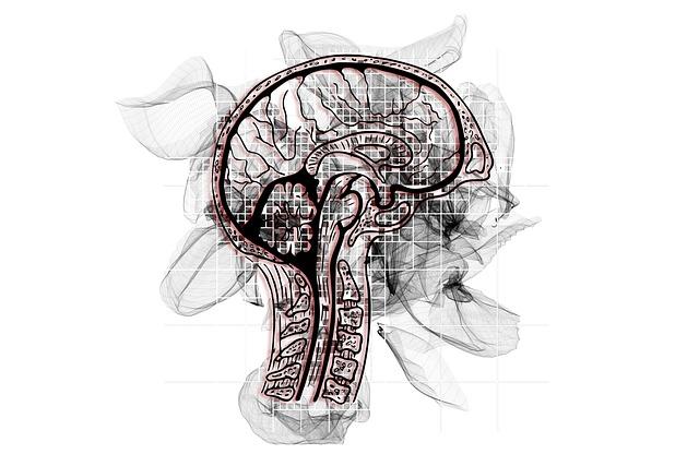 Vznik Alzheimerovy Nemoci: Co Je Příčinou