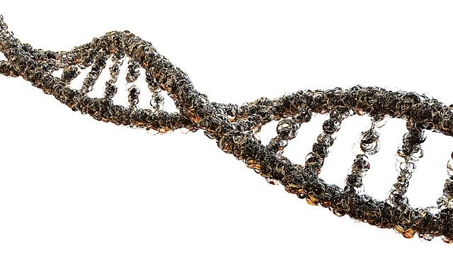 Jaký je vztah mezi genetikou a rozvojem stařecké demence?